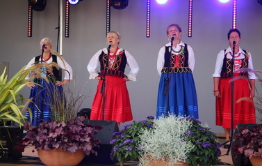 dozynki-gminne-w-obiektywnie-gokis-20