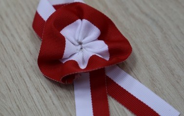 swieto-niepodleglosci-przygotowania-17