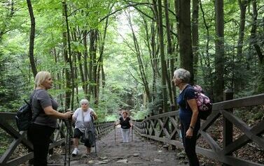 Spacer 4 sierpnia "Na szlaku walk powstańczych" Waśni&oacute;w-Nowa Słupia-Św. Krzyż-Mirogonowice-Momina 57