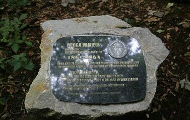 Spacer 4 sierpnia "Na szlaku walk powstańczych" Waśni&oacute;w-Nowa Słupia-Św. Krzyż-Mirogonowice-Momina 60