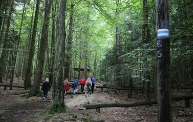 Spacer 4 sierpnia "Na szlaku walk powstańczych" Waśni&oacute;w-Nowa Słupia-Św. Krzyż-Mirogonowice-Momina 63