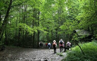 Spacer 4 sierpnia "Na szlaku walk powstańczych" Waśni&oacute;w-Nowa Słupia-Św. Krzyż-Mirogonowice-Momina 64