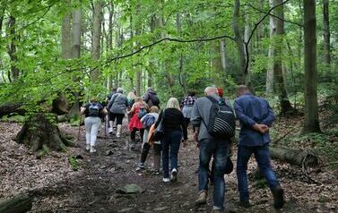 Spacer 4 sierpnia "Na szlaku walk powstańczych" Waśni&oacute;w-Nowa Słupia-Św. Krzyż-Mirogonowice-Momina 70