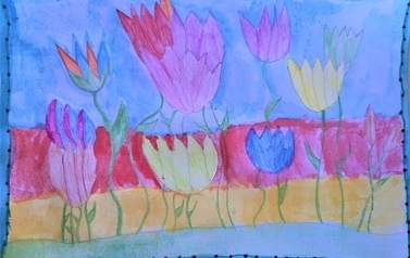 tulipany-1