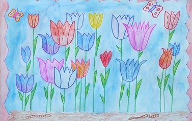 tulipany-2