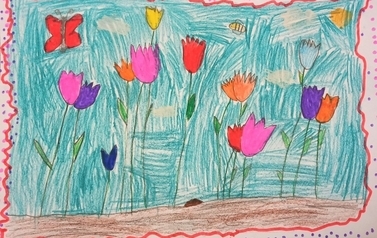 tulipany-4