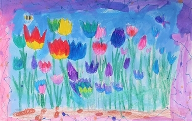 tulipany-9