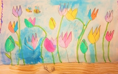 tulipany-12