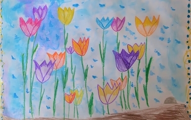 tulipany-13