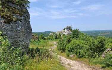 Ogrodzieniec 2026 40