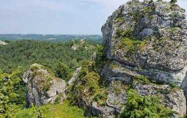 Ogrodzieniec 2026 50