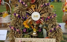 dozynki-gminne-w-obiektywnie-gokis-82