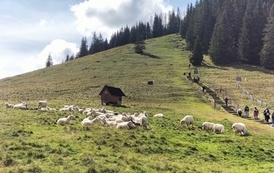 wyjazd-sieciujacy-podhale-5