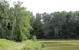 Spacer 4 sierpnia "Na szlaku walk powstańczych" Waśni&oacute;w-Nowa Słupia-Św. Krzyż-Mirogonowice-Momina 13