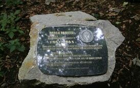 Spacer 4 sierpnia "Na szlaku walk powstańczych" Waśni&oacute;w-Nowa Słupia-Św. Krzyż-Mirogonowice-Momina 60