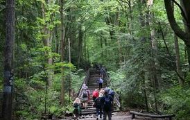 Spacer 4 sierpnia "Na szlaku walk powstańczych" Waśni&oacute;w-Nowa Słupia-Św. Krzyż-Mirogonowice-Momina 61