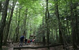 Spacer 4 sierpnia "Na szlaku walk powstańczych" Waśni&oacute;w-Nowa Słupia-Św. Krzyż-Mirogonowice-Momina 62
