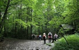 Spacer 4 sierpnia "Na szlaku walk powstańczych" Waśni&oacute;w-Nowa Słupia-Św. Krzyż-Mirogonowice-Momina 64