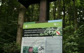 Spacer 4 sierpnia "Na szlaku walk powstańczych" Waśni&oacute;w-Nowa Słupia-Św. Krzyż-Mirogonowice-Momina 69