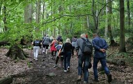 Spacer 4 sierpnia "Na szlaku walk powstańczych" Waśni&oacute;w-Nowa Słupia-Św. Krzyż-Mirogonowice-Momina 70