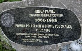 Spacer 4 sierpnia "Na szlaku walk powstańczych" Waśni&oacute;w-Nowa Słupia-Św. Krzyż-Mirogonowice-Momina 84
