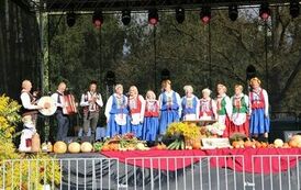 Dożynki powiatowe 2023 11