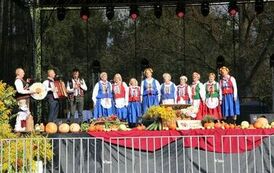 Dożynki powiatowe 2023 13