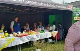 Sami Swoi na Ostrowieckich Kaziukach 2024 5