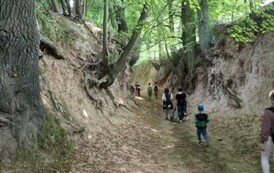 Wakacyjna wycieczka do Kazimierza Dolnego 12