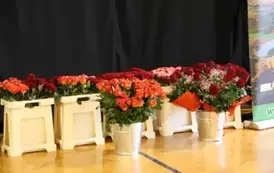 Gminny Dzień Kobiet 2025 84