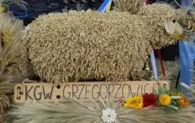 Dożynki Gminne 2025 73