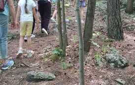 Ogrodzieniec 2026 3