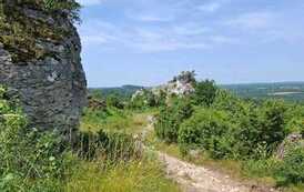 Ogrodzieniec 2026 40