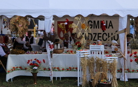 Dożynki Powiatowo-Gminne 2026 54