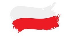 Zdjęcie do GOKiS w Waśniowie realizuje projekt "Śladami wydarzeń i bohater&oacute;w - 160. rocznica Powstania Styczniowego"